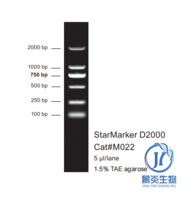 StarMarker D2000